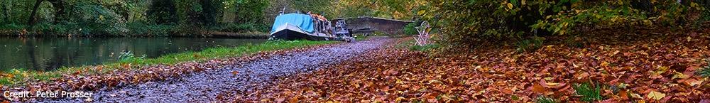 Watford Park U3A