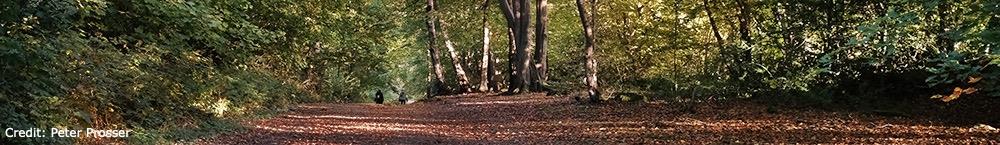 Watford Park U3A