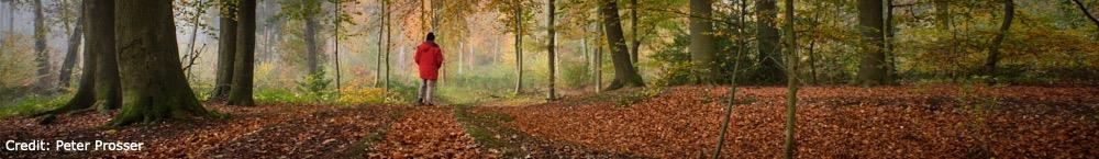 Watford Park U3A